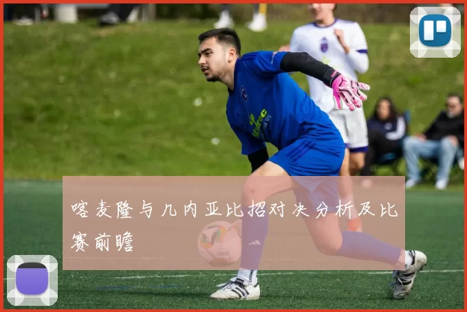 喀麦隆与几内亚比招对决分析及比赛前瞻
