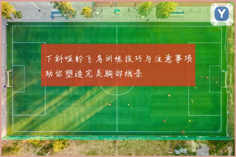 下斜哑铃飞鸟训练技巧与注意事项助你塑造完美胸部线条